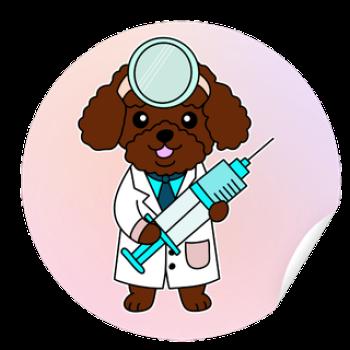 Santé et entretien de votre animal