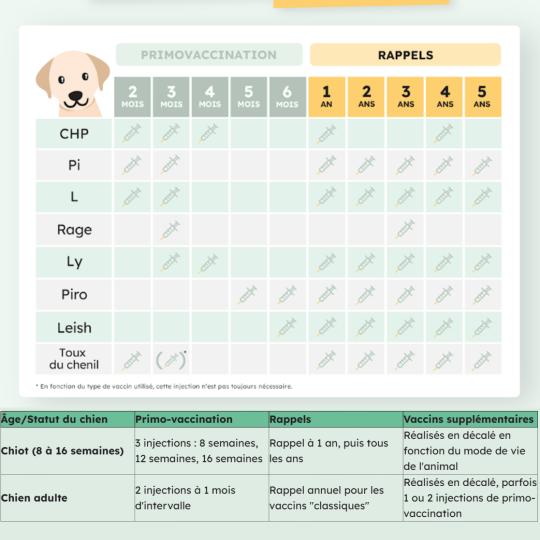 Plan vaccinal Chien