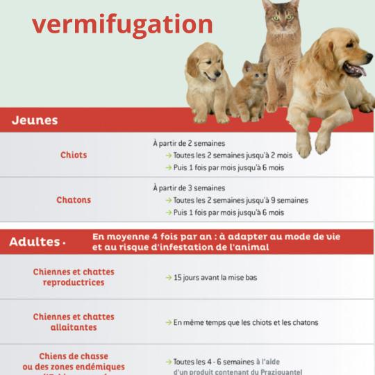 Plan de vermifugation